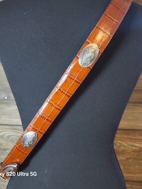Men's Brown Razorback-Embossed Leather Belt with Silver Conchos